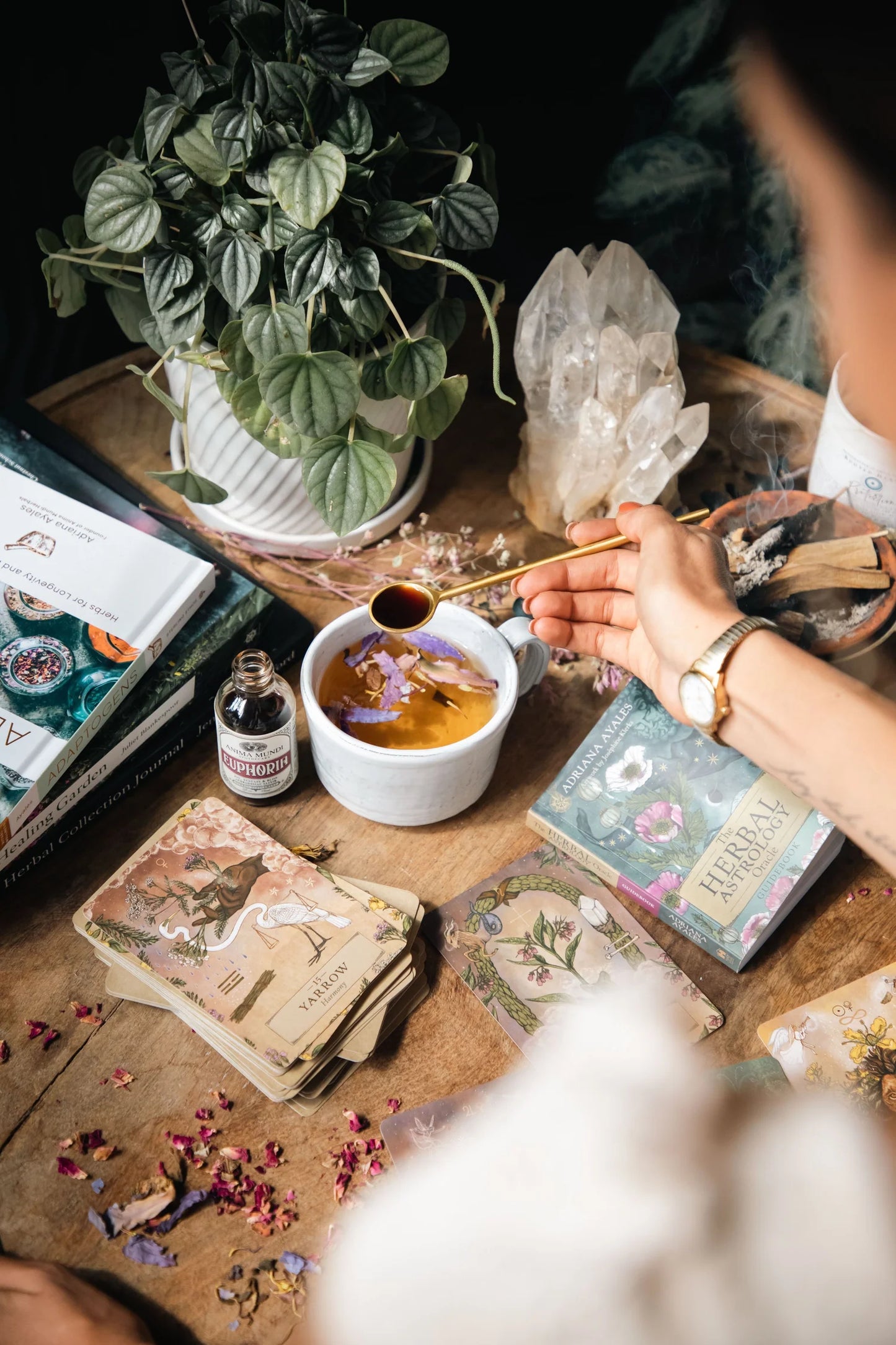 The Herbal Astrology Oracle Guidebook, Adriana Ayales