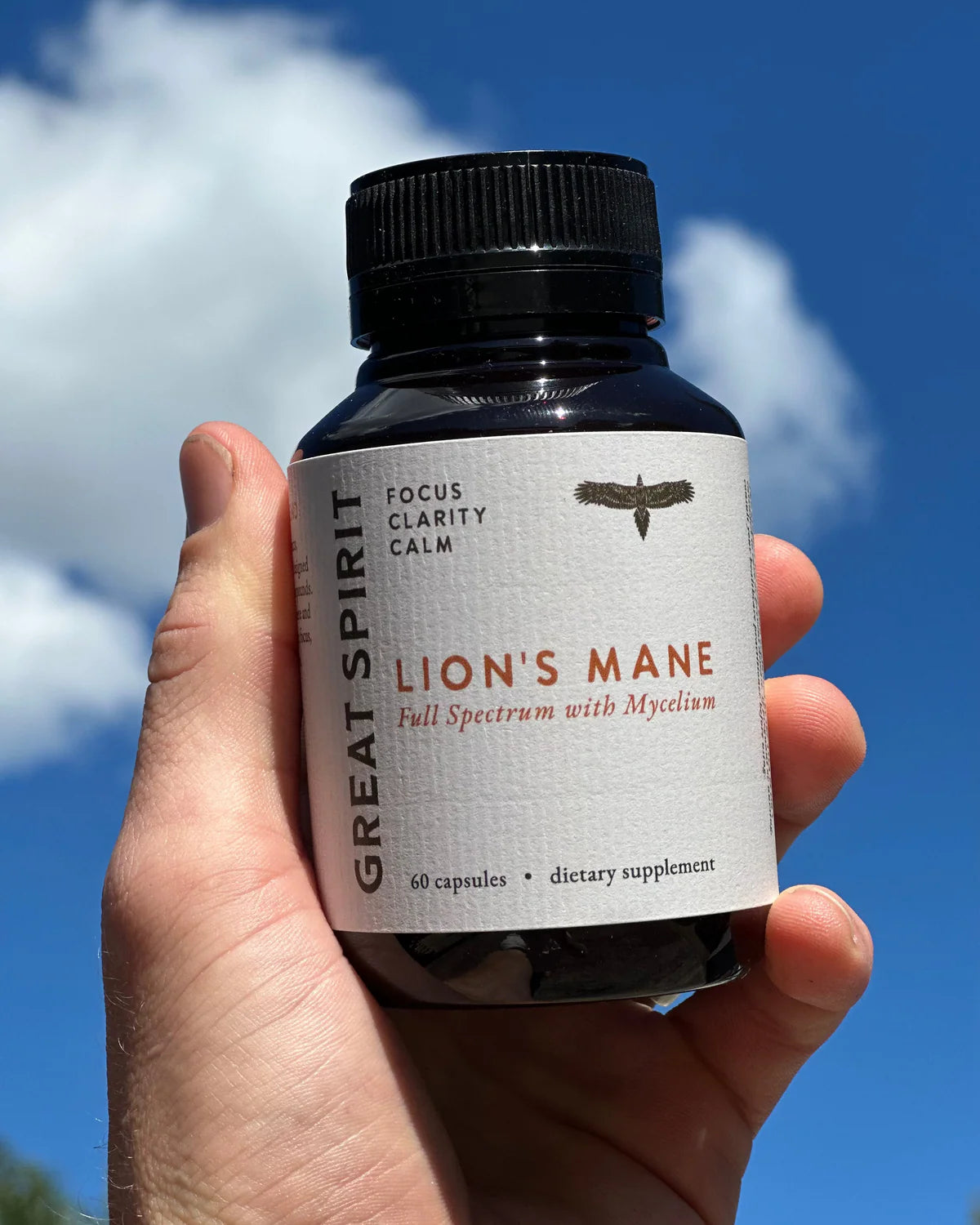 Lion’s Mane capsules, Great Spirit