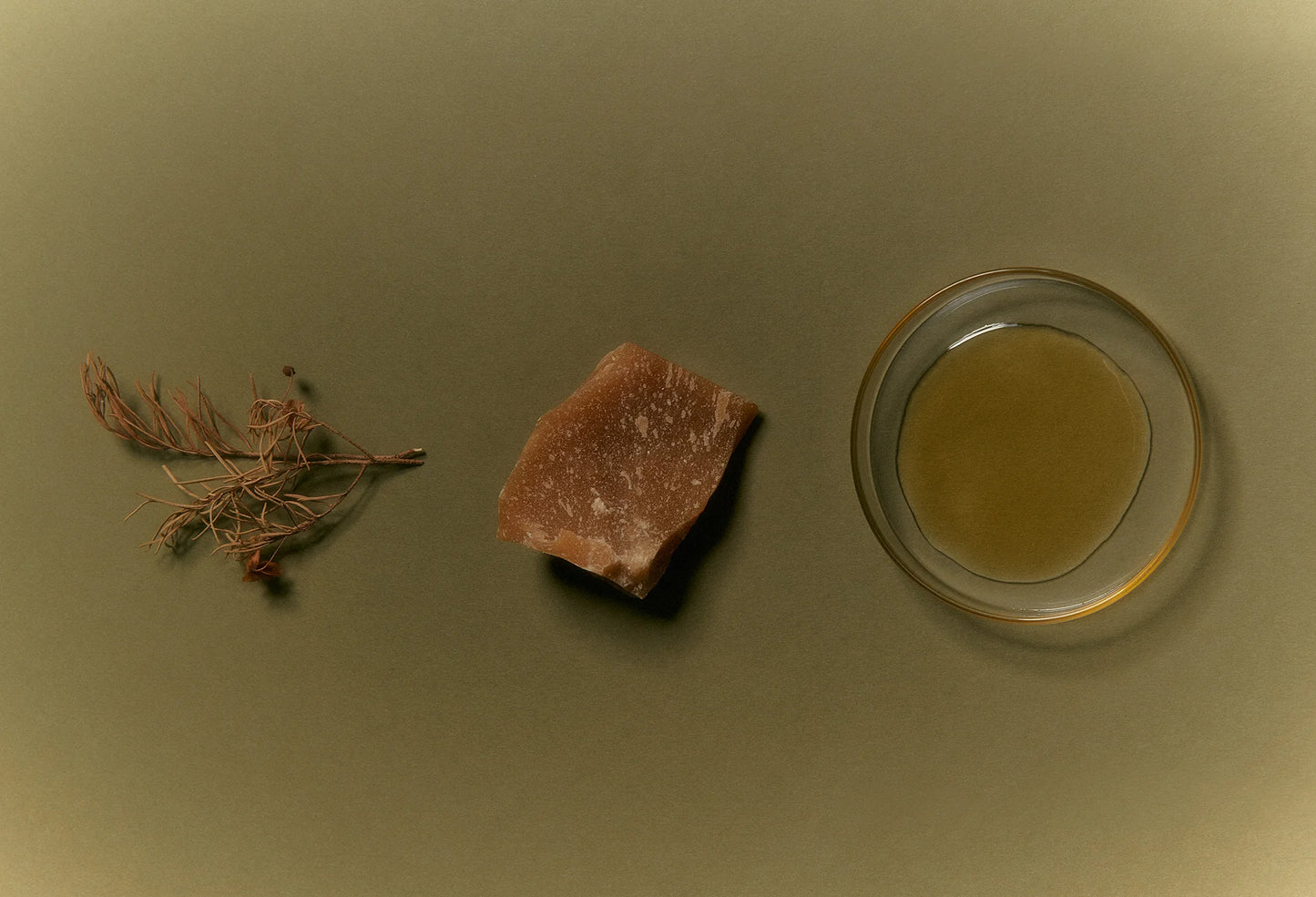 All Purpose Balm, Palyani