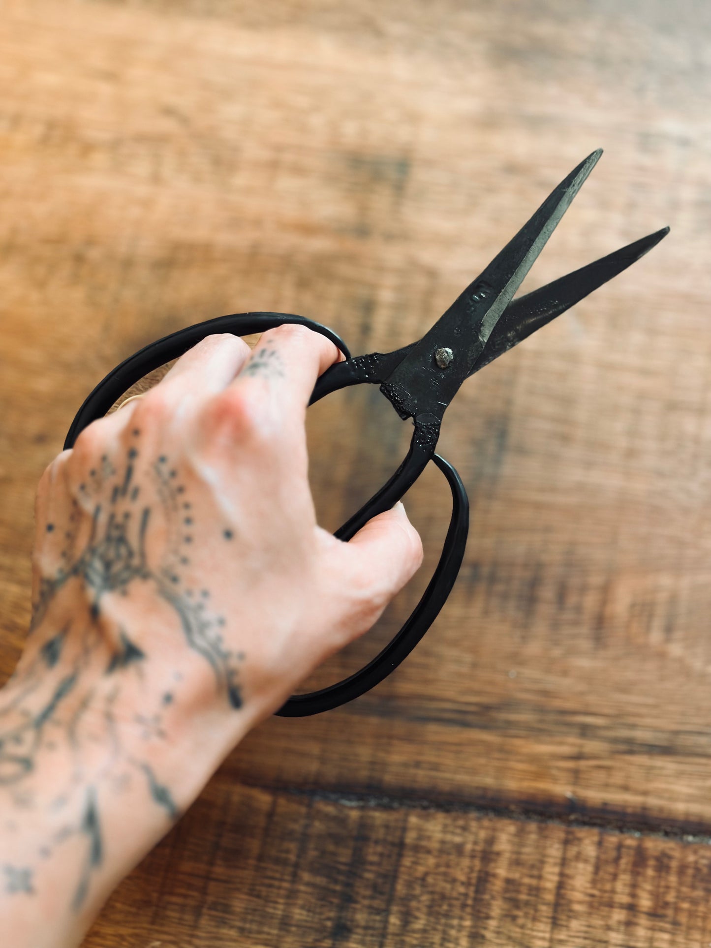 Scissors, Authentic Blades