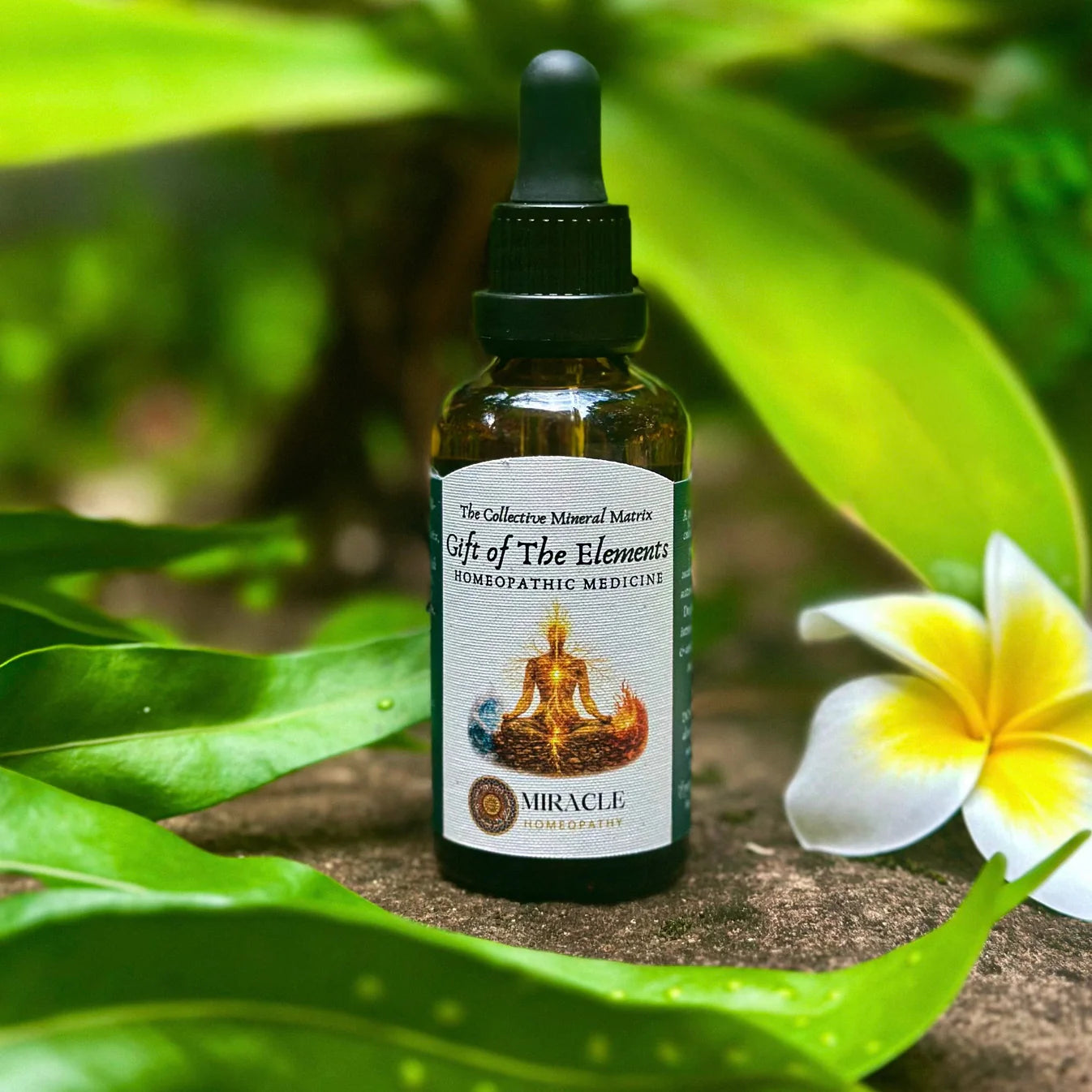 Gift of the Elements, Miracle Homeopathy