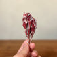 Dragons Blood Dipped White Sage, Ritual Space