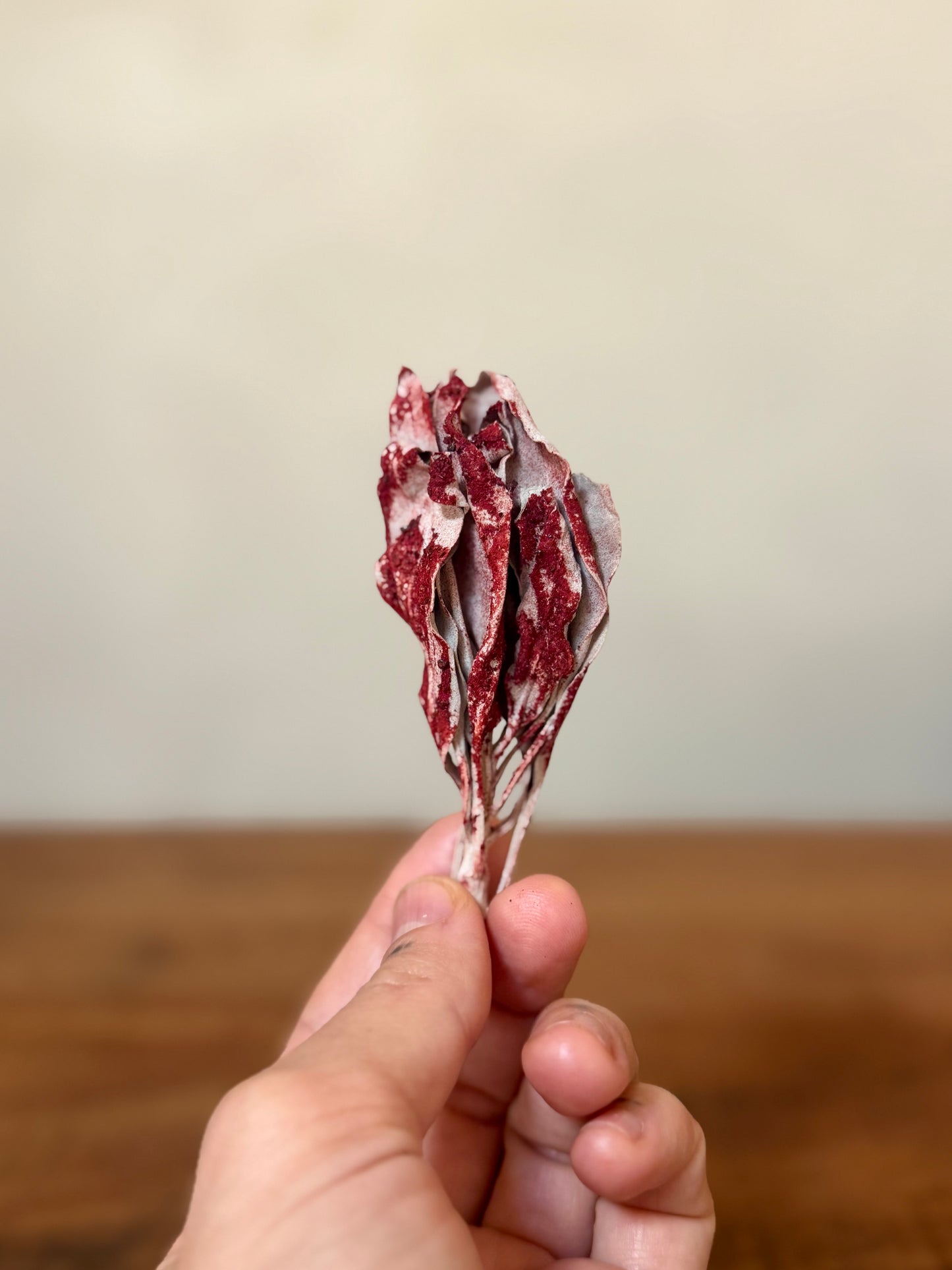 Dragons Blood Dipped White Sage, Ritual Space