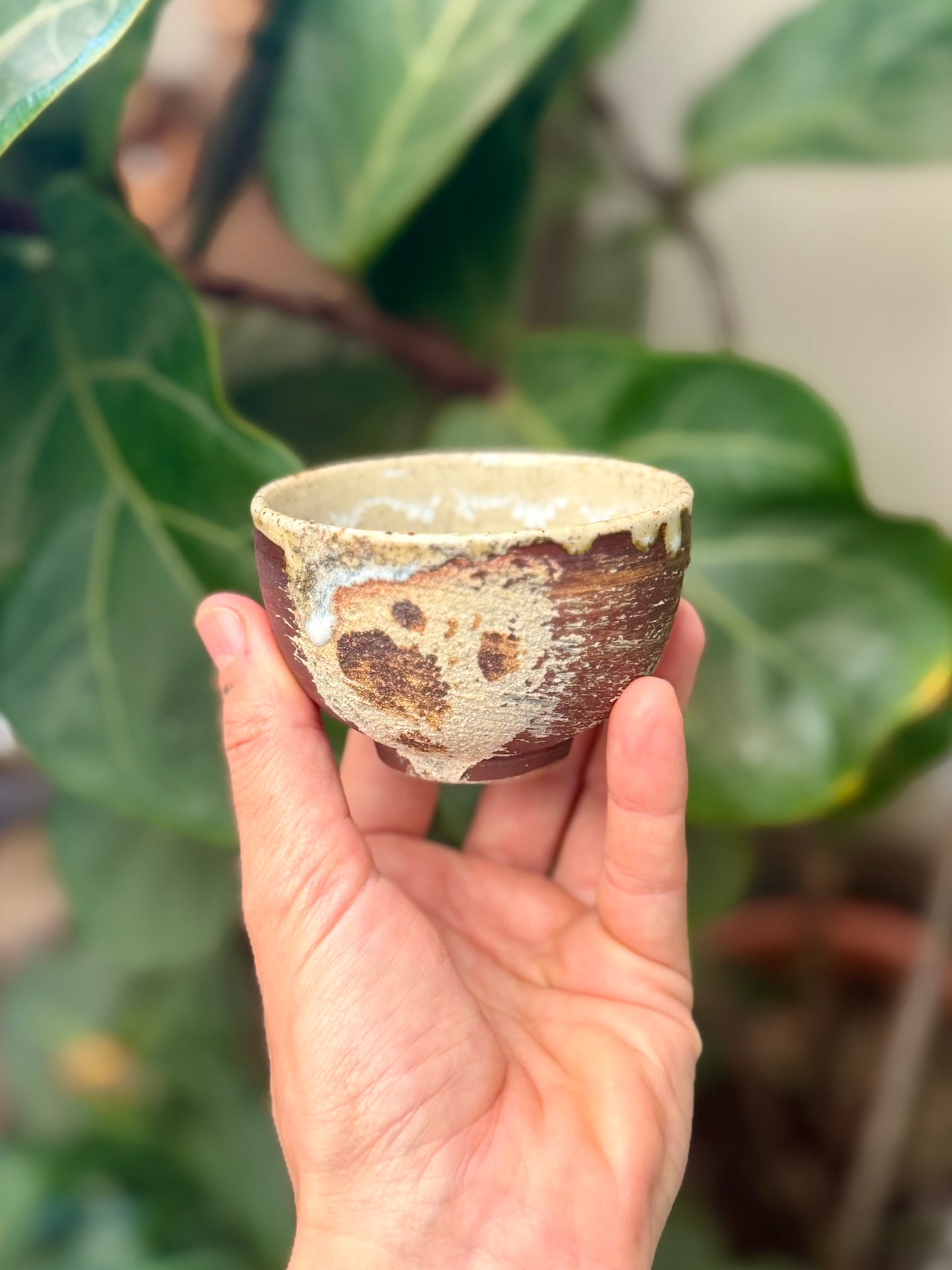 Wild Clay Tea Bowl, Ceainic Teaware