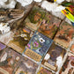 The Herbal Astrology Oracle Guidebook, Adriana Ayales