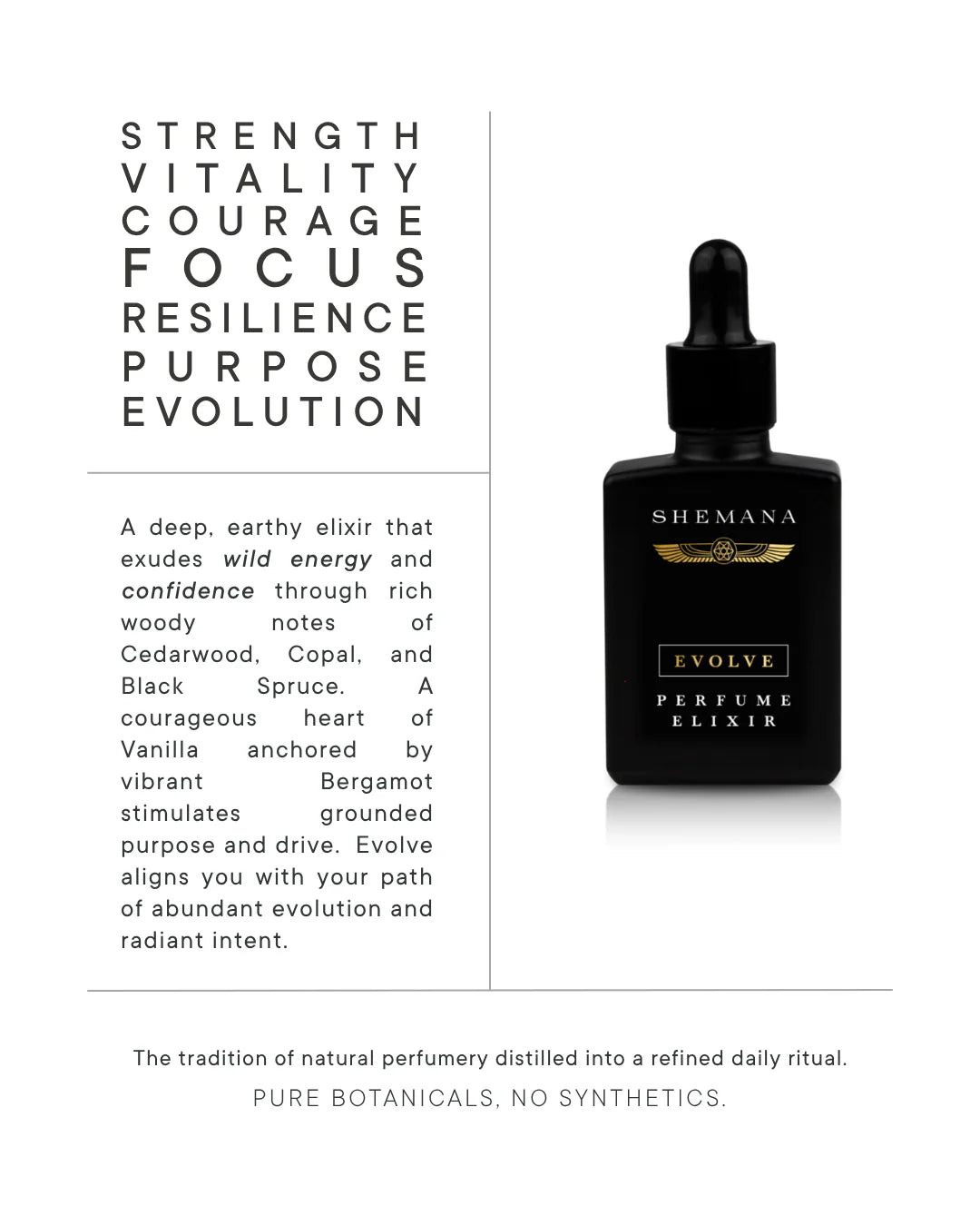 Evolve Perfume Elixir, Shemana
