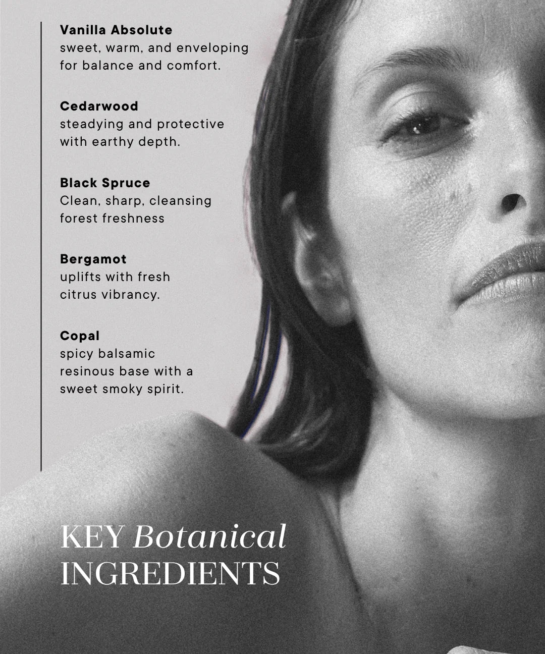 Evolve Perfume Elixir, Shemana