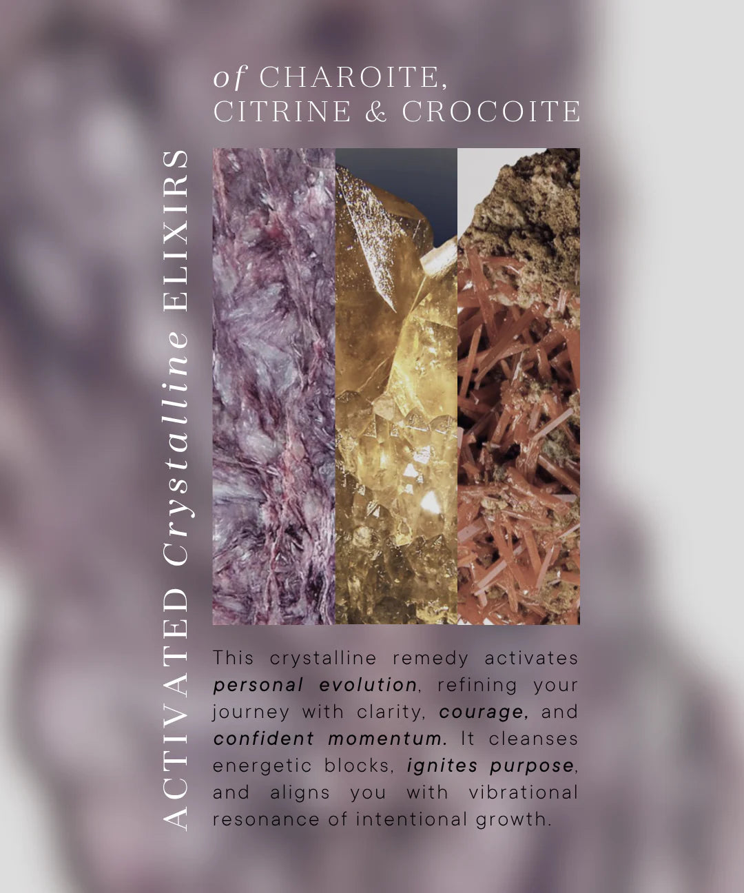 Evolve Perfume Elixir, Shemana