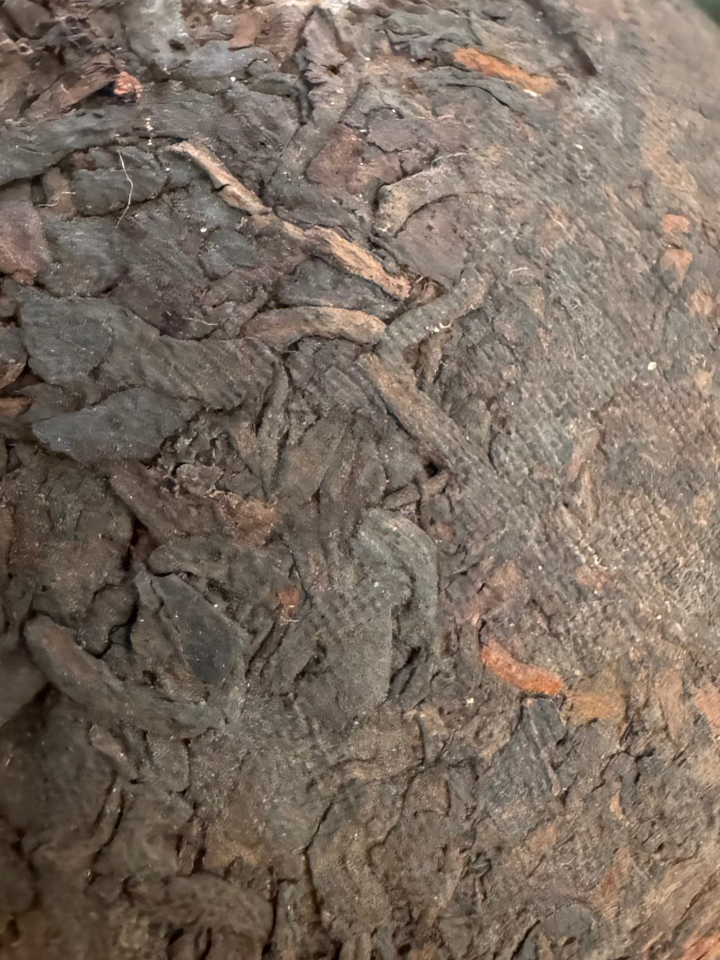 1994 Shou Puer Cake, Temple Garden Tea House