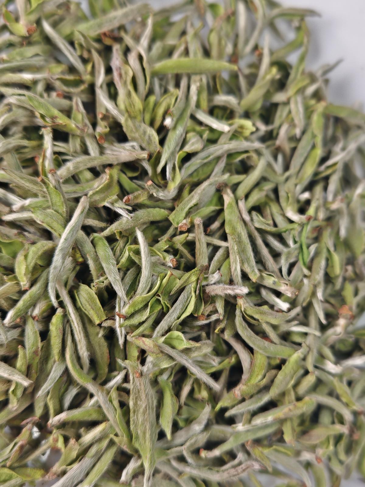 Silver Needle, White Tea, Ritual
