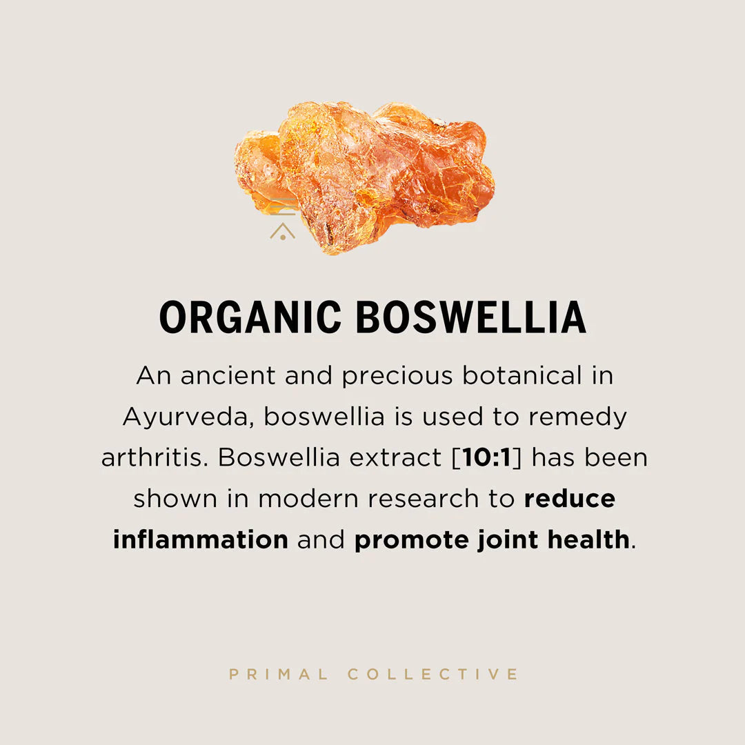 Organic Turmeric +, Primal Collective