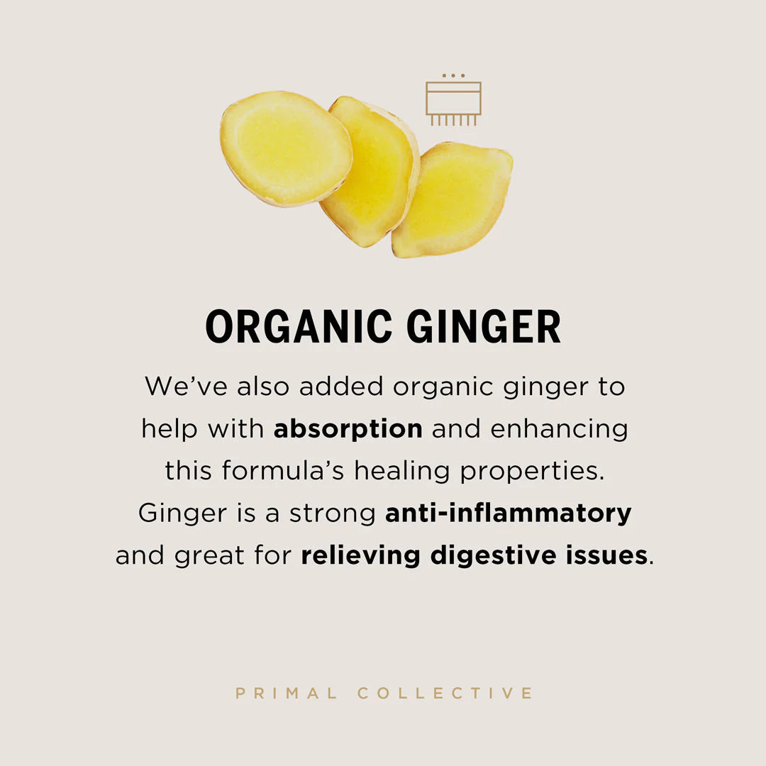 Organic Turmeric +, Primal Collective