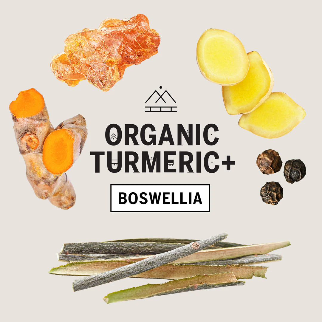 Organic Turmeric +, Primal Collective