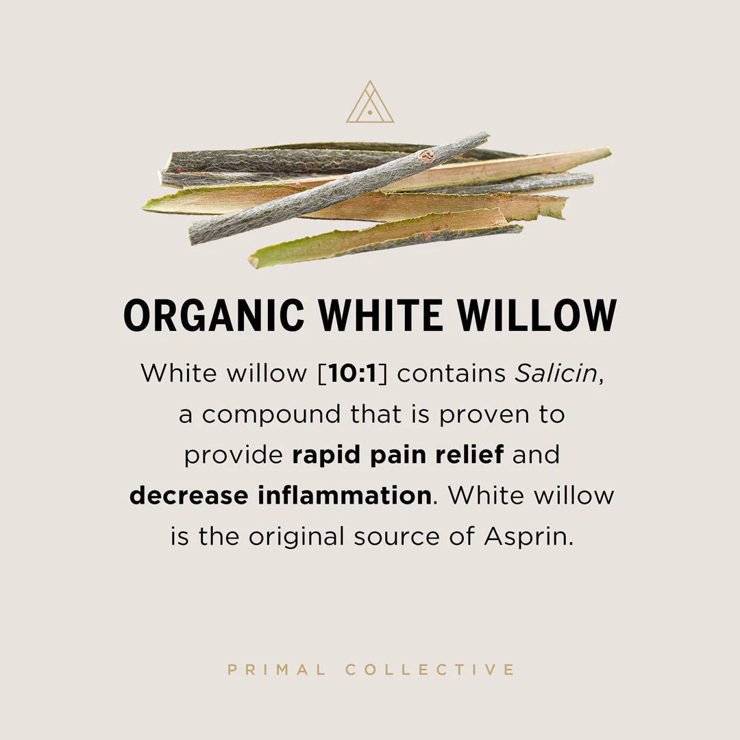 Organic Turmeric +, Primal Collective
