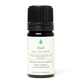 Basil Certified Essential Oil, Synthesis Energy Imbued Organics
