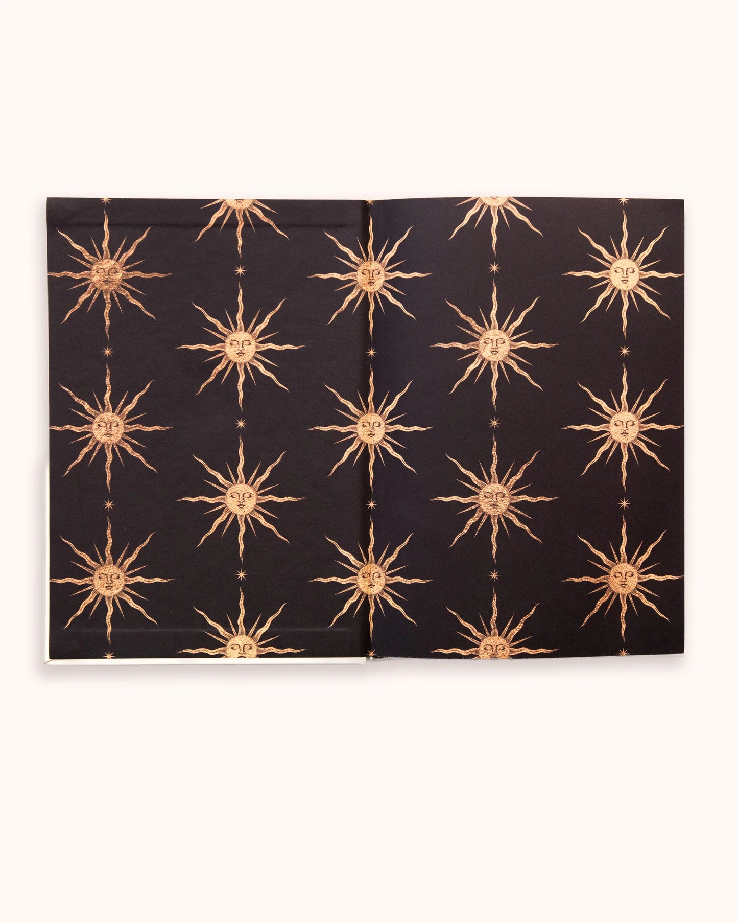 Gratitude Journal, Dreamy Moons