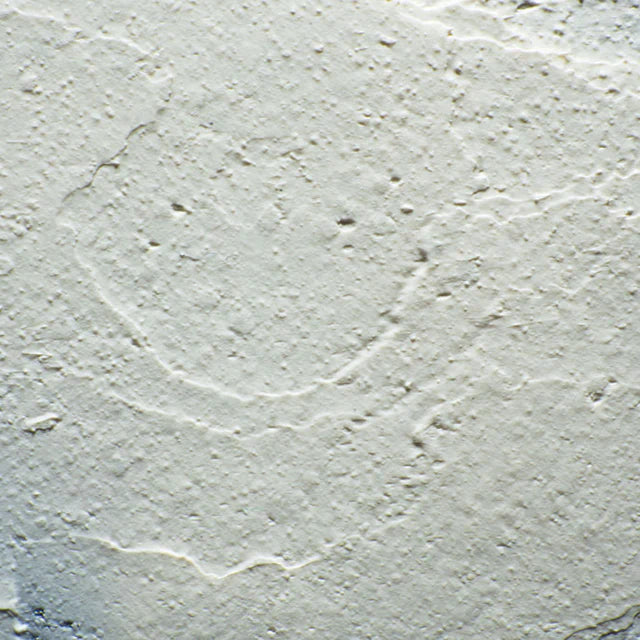 Powder Exfoliating Cleanser, Naked Tallow