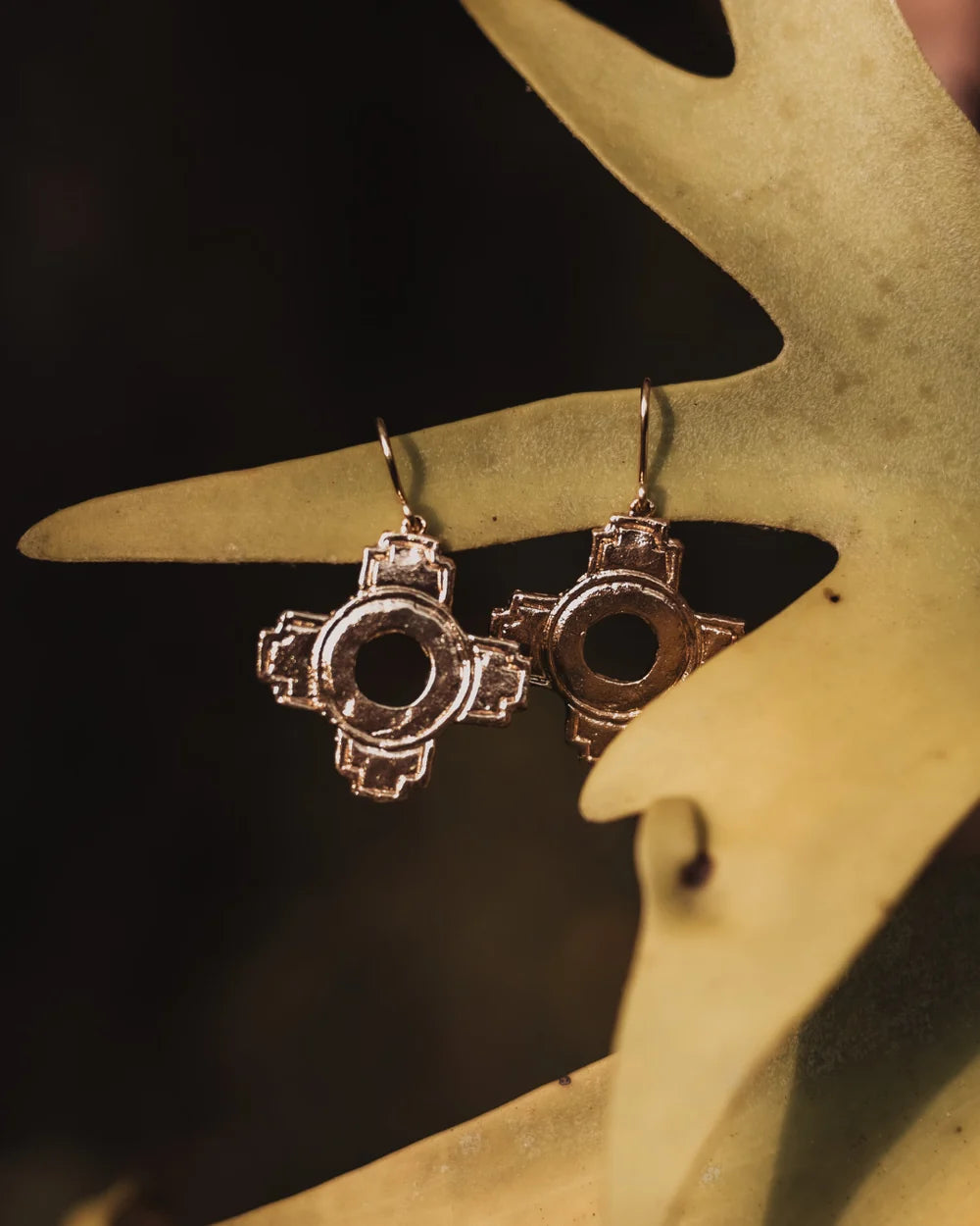 Tuku Ñawin Earrings, Kantu